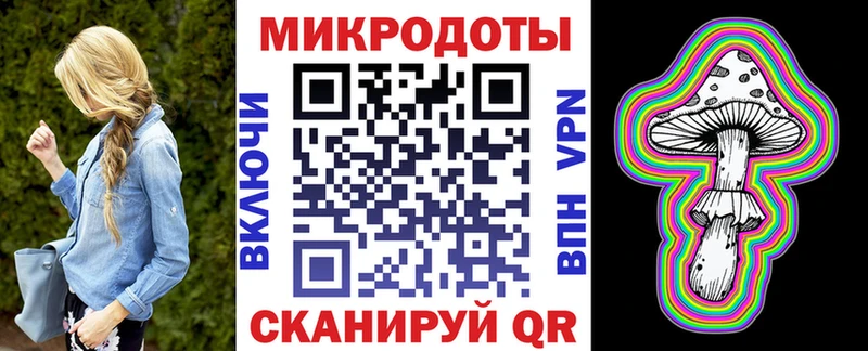Псилоцибиновые грибы Psilocybe  цены   Кочубеевское 