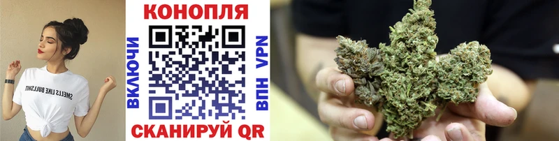 это наркотические препараты  Кочубеевское  Конопля сатива 